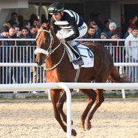 Özbelge Ekürisi (@ozbelgestud) 's Twitter Profile