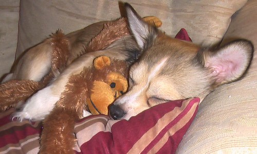 SteelKrtan's profile picture. 