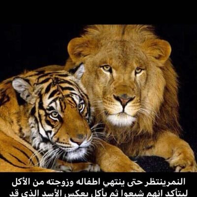 emad8476's profile picture. ‏‏‏‏اللهم احفظني من كل مكروه