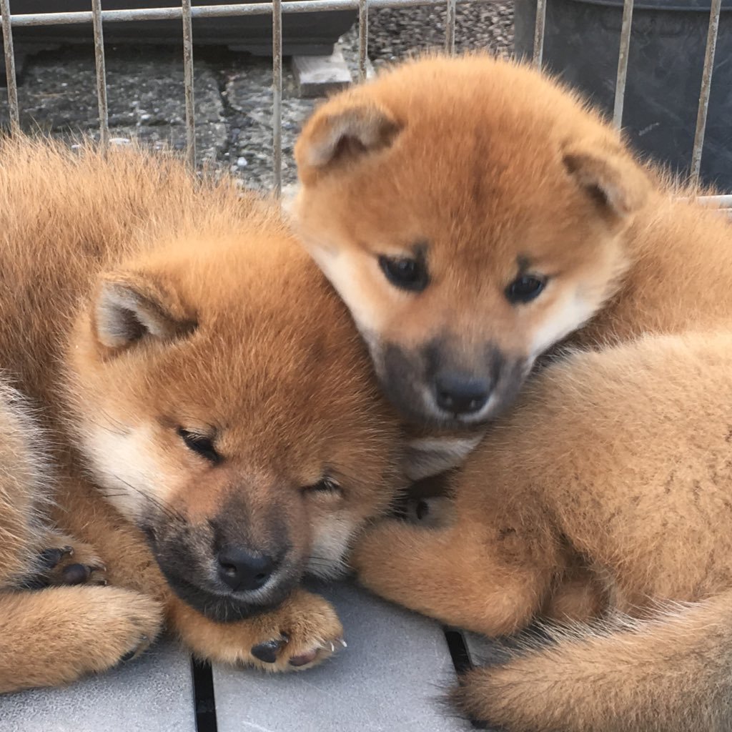Taicyoo88's profile picture. 