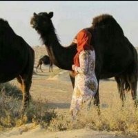 شاعره ولكن (@gzillalalawh) Twitter profile photo