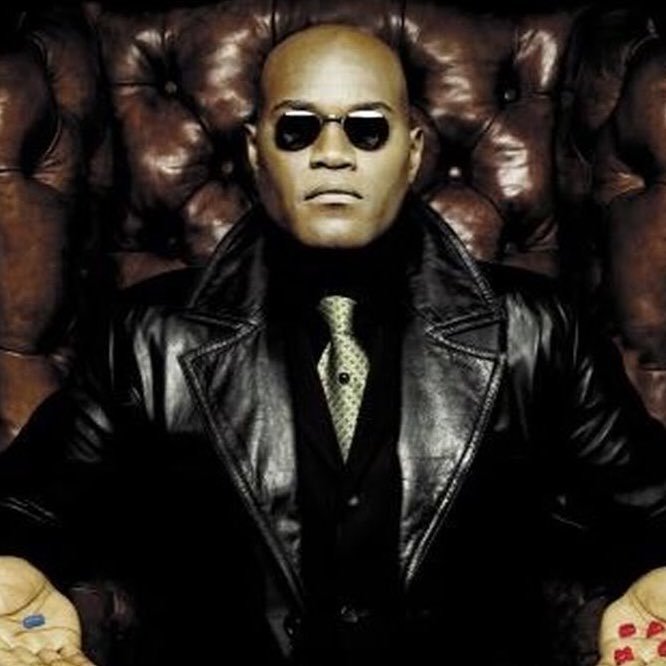 Rode_Pil's profile picture. 