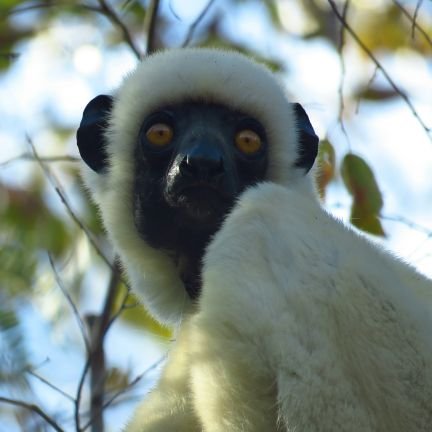 Agente Medioambiental #AAMM (#PolicíaMedioambiental)de profesión y vocación en #CLM.