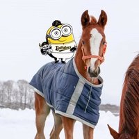 おしばちゃお🐎⚾️ (@oumatobs) 's Twitter Profile
