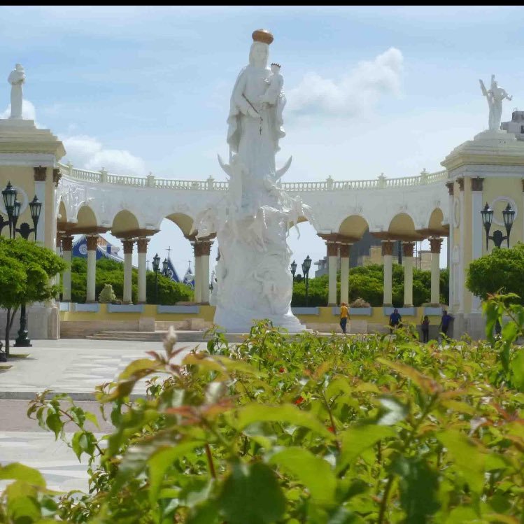 navaslg's profile picture. Venezolano