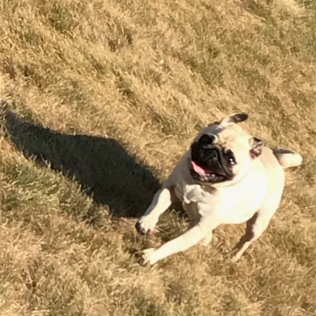 Mitchellhart24's profile picture. 