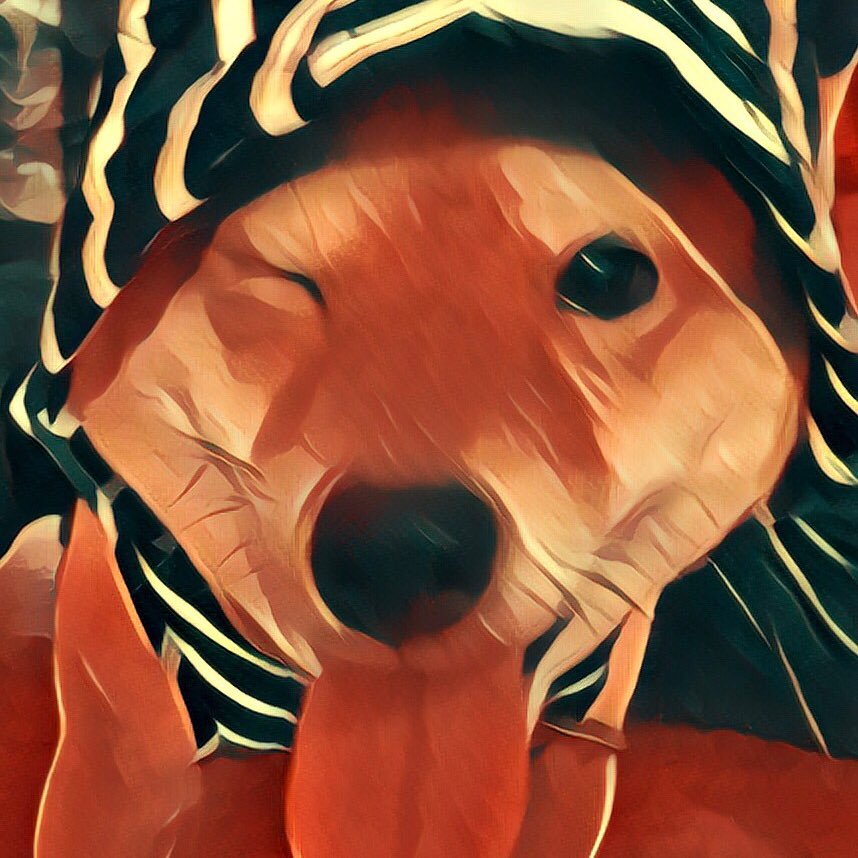 knowthyTao's profile picture. 