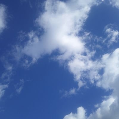 Hlp7ysgTVos6ubm's profile picture. 国会中継大好き。３人の子供の母。曲がった事が大嫌い。頑張れ日本人。天皇陛下、皇后陛下お健やかに