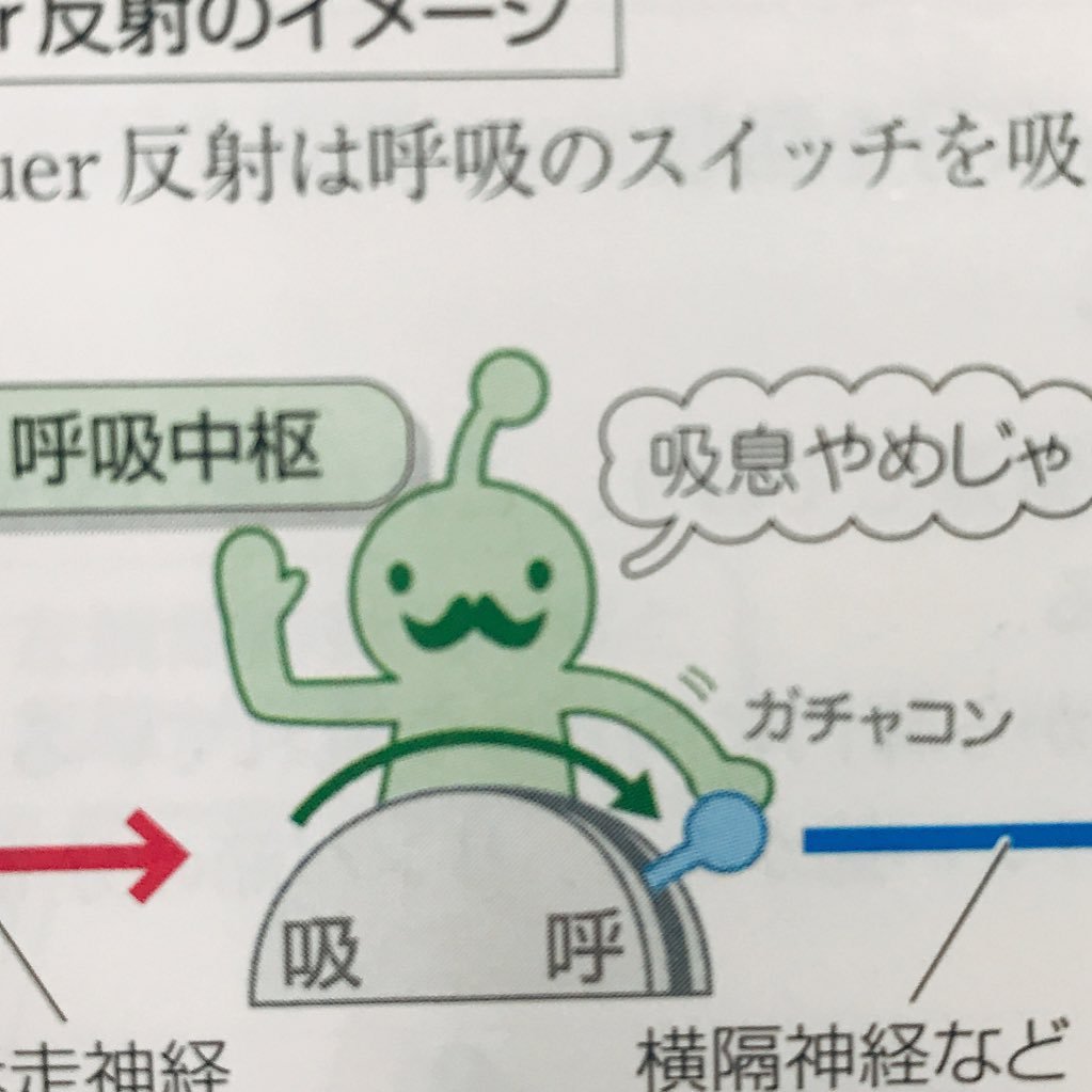 呼吸中枢 Mymysk1 Twitter