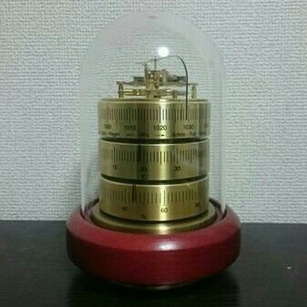 shell_field04's profile picture. 公開用アカウント