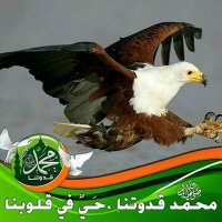 محمد المشهداني(@ali123456789900) 's Twitter Profile Photo