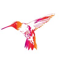 Hummingbird Raleigh (@hummingbirdral) 's Twitter Profile