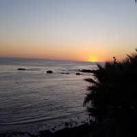 momma hare (@momma_hare) 's Twitter Profile