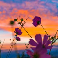 ズン (@arai2000) 's Twitter Profile Photo