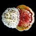 Traxler Lab (@traxlab) Twitter profile photo Traxler Lab (@traxlab) Twitter profile photo