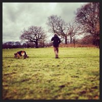William McGowan (@will_mcgowan37) 's Twitter Profile