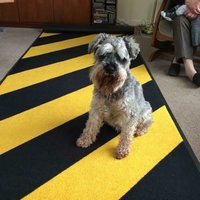 do you own the dancefloor? (@owndancefloor) 's Twitter Profile Photo