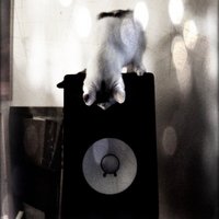 EB1 (@earthbound_1) 's Twitter Profile Photo