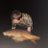 gwakatheanimal's profile image