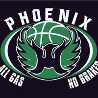 Lady Phoenix Hoops (@phoenixhoops) 's Twitter Profile Photo