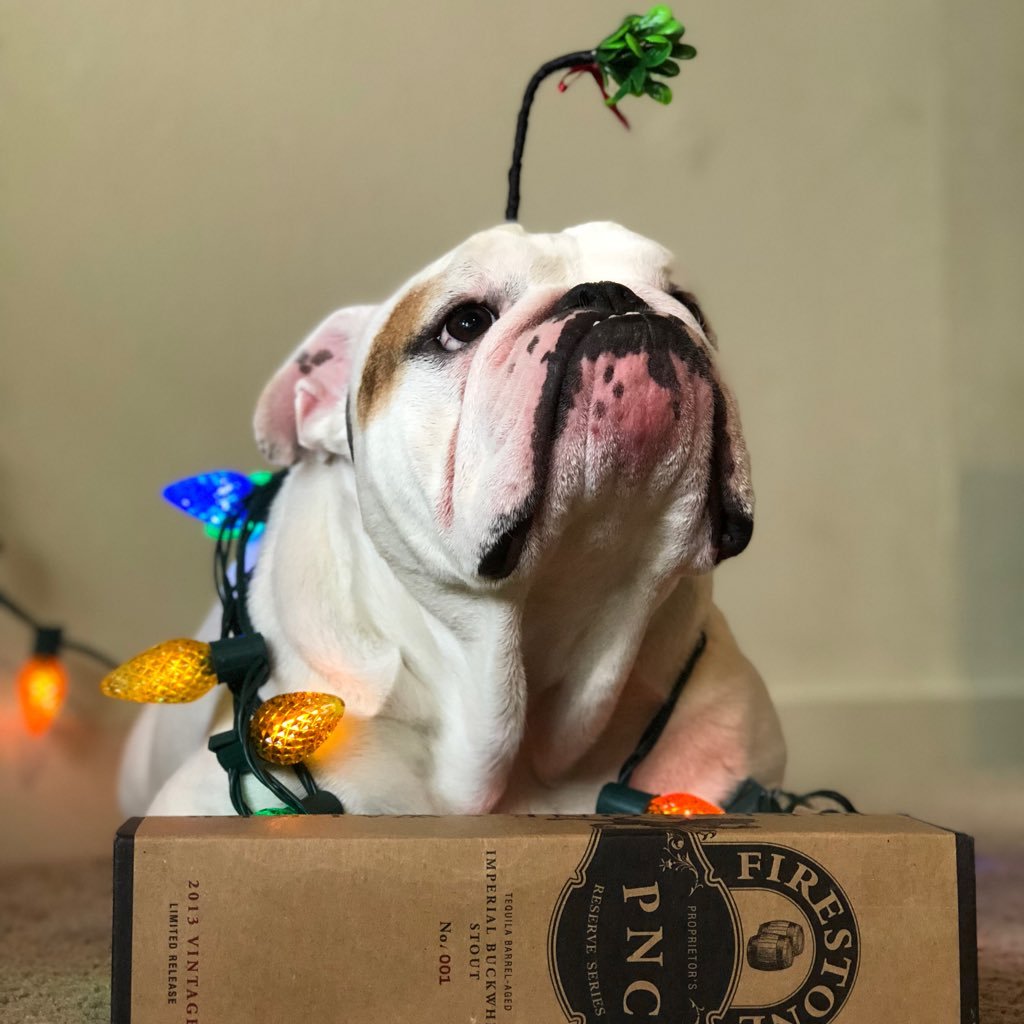 TotalSoulRape's profile picture. Breathing