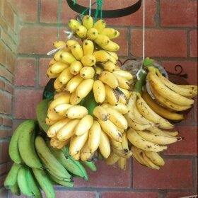 MelaniaBravoN's profile picture. Cooking teacher, Catering & food services, Food Stylist.