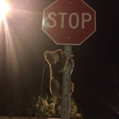 Hannahmaryam's profile picture. 