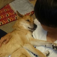 吉本 洋大 (@9yota9) Twitter profile photo