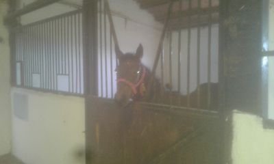 FatihKu47886581's profile picture. Atçılık