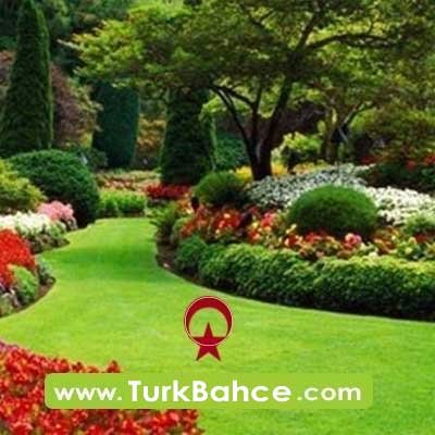 Türk Bahçe, Bahçeye dair herşey! Bahçe bakım düzenleme ürünleri hakkında bilgiler, üretim, alım-satım hakkında genel bilgiler içeren kapsamlı websitesidir
