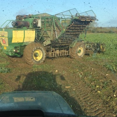 JohnJpkfarms's profile picture. 