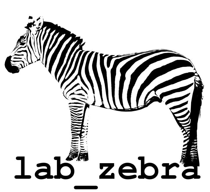 lab_zebra, espacio donde (re)pensar los servicios bibliotecarios en comunidades diversas; y sus aspectos sociales, desde una visión crítica, y no hegemónica