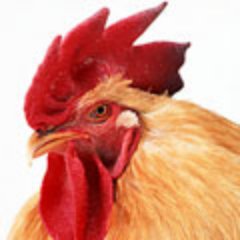 Masoolin's profile picture. 台灣 Taiwan /網頁設計師 Web designer