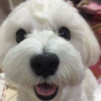 みんみん (@ue260227) Twitter profile photo