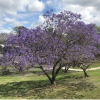 Michael Hogan (@michaelhoganaus) 's Twitter Profile Photo Michael Hogan (@michaelhoganaus) 's Twitter Profile Photo