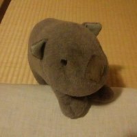ころたま (@krtm_wombat) 's Twitter Profile