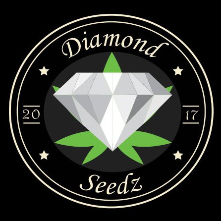 Diamondseedz - graines de collections pour phanérogamophilistes exigeants #seeds #collection #weed #cannabis