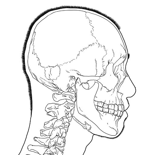 kato_anatomy Profile Picture