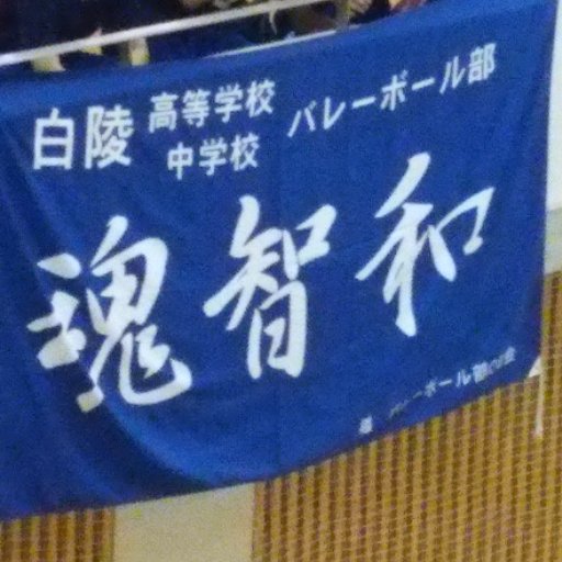 白陵バレー部の公式アカウント 連絡や試合結果などをツイートします！フォローお願いします！