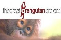 The Great Orangutan Project team is now on Twitter! For more information check out http://t.co/6uwmKb8vkh or contact me at orangutan@w-o-x.com.