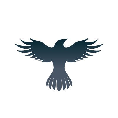 raven_protocol Profile Picture