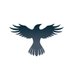 Raven Protocol 🐦‍⬛ (@raven_protocol) Twitter profile photo