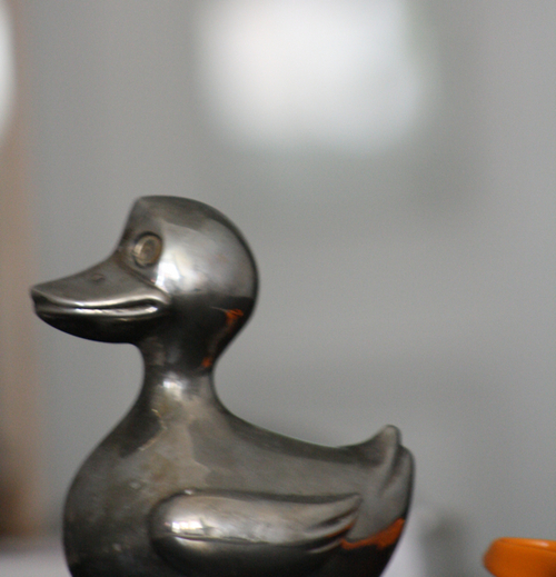 bodulations's profile picture. I'm interested in wine as well as fermentation and life in general