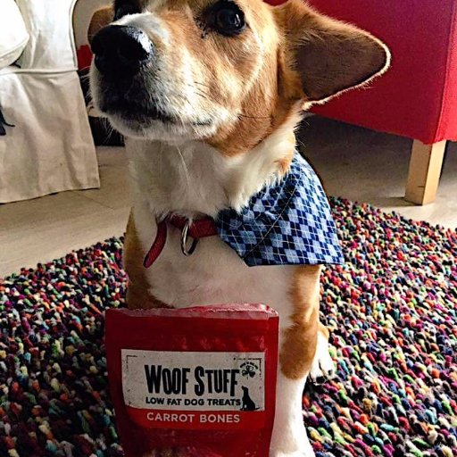 Award winning low fat dog treats, free from animal derivatives. Sold in Supervalu''s Leinster and online. Now designing dog fashions for dog lovers everywhere.