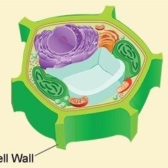 vote_CELLWALL17's profile picture. It's gonna be HUGE