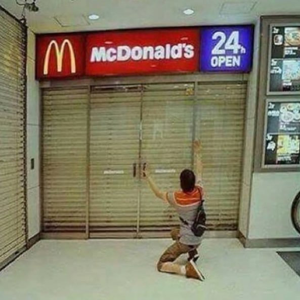 papi_why's profile picture. Si, es un panettone gigante.