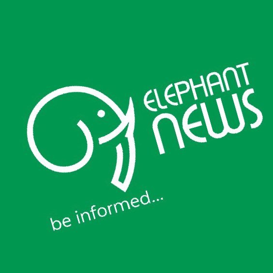 elephantnewsgh Profile Picture