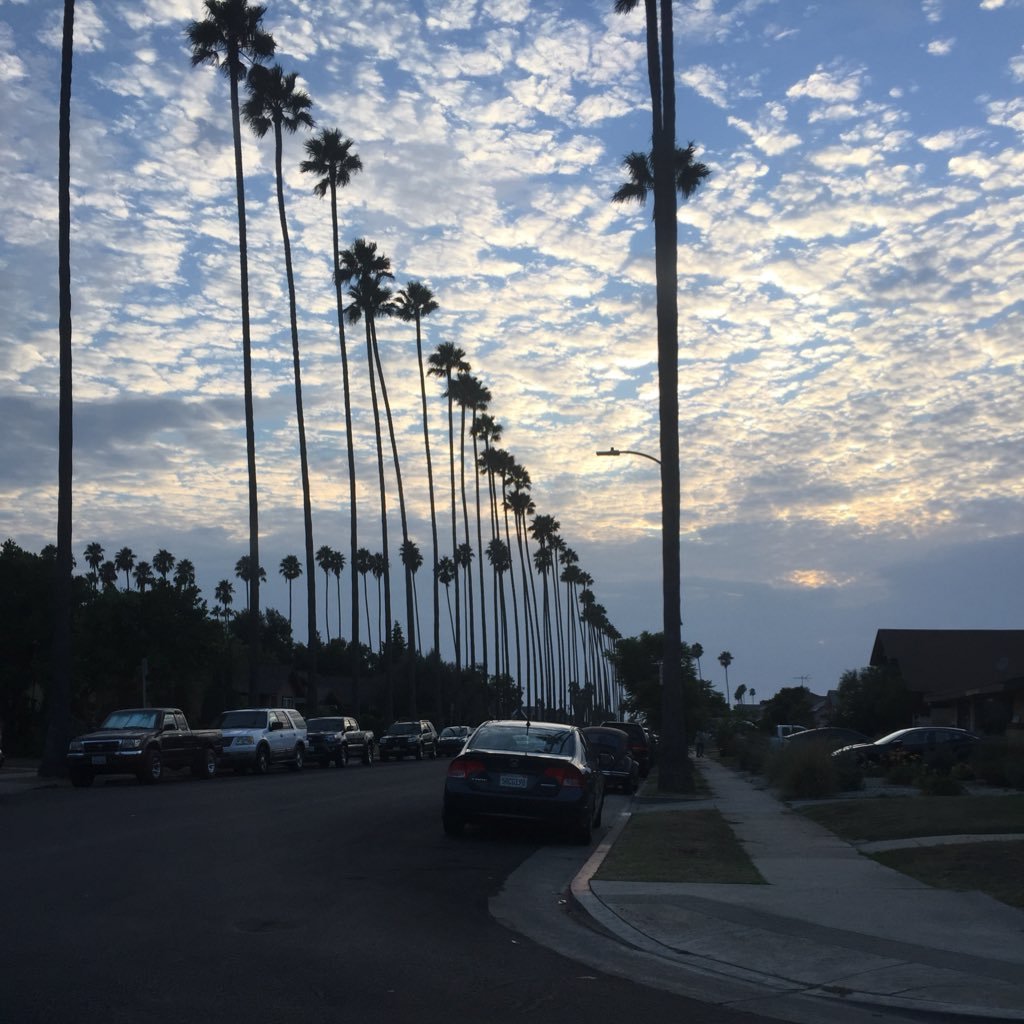 maureenjohnston's profile picture. 