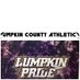 Lumpkin Co Athletics (@lumpkincosports) Twitter profile photo