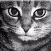 joythorn (@joythorn) Twitter profile photo joythorn (@joythorn) Twitter profile photo